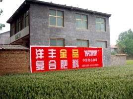 榆林市如何让墙体广告展现最大化效果