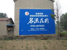 榆林市农村墙体广告的长尾效应