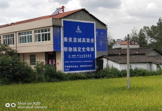 榆林市决定墙体广告价格的因素有哪些?